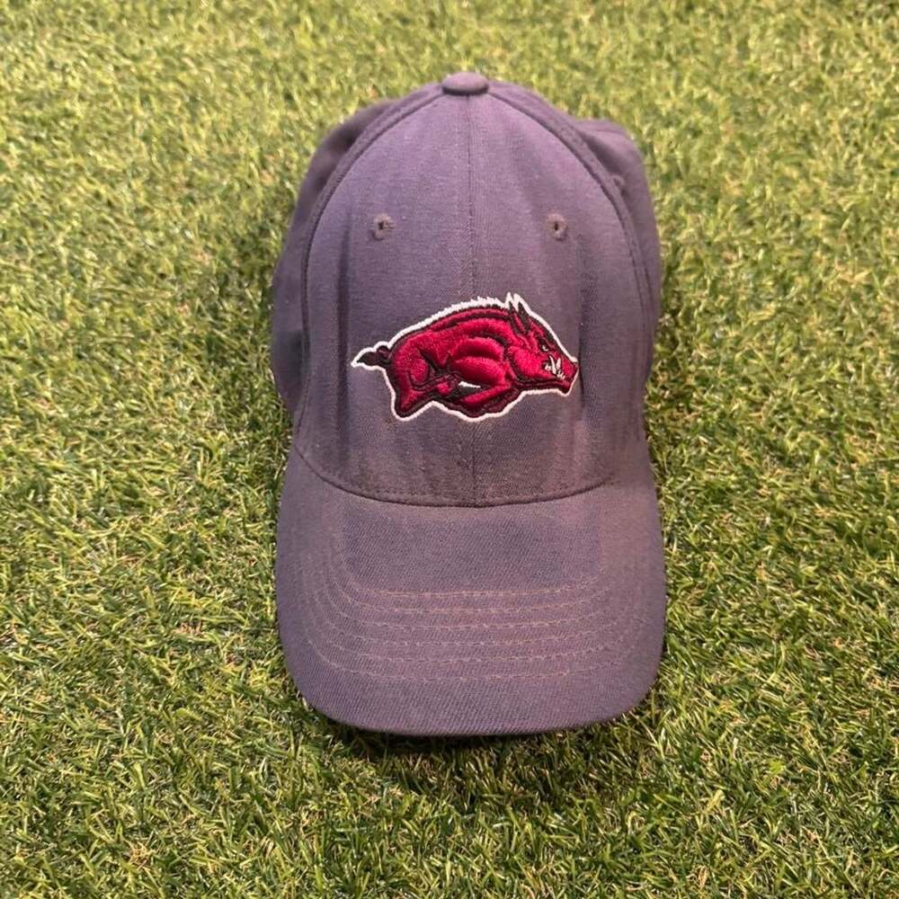 Nike gray arkansas razorbacks baseball
